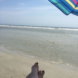 Meet your Posher, Callie